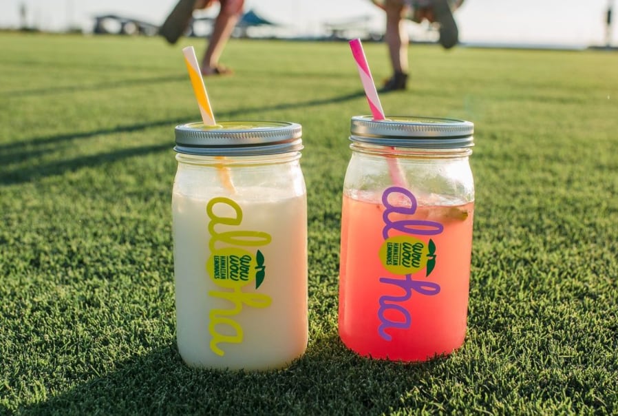 Pina Colada Lemonade and Watermelon Basil